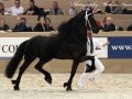 IMG_1063-Tjaarda-483