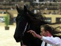 IMG_8412-Tjaarda-483