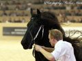 IMG_8426-Tjaarda-483