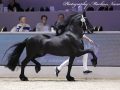 IMG_0237-Tjebbe-500