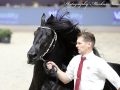 IMG_0279-Tjebbe-500