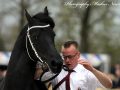IMG_0297-Tjebbe-500