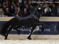 IMG_7157-Tjebbe-500
