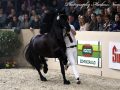 IMG_7165-Tjebbe-500