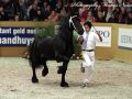 IMG_2365-Tonjes-459