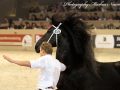 IMG_7509-Tonjes-459