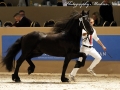 IMG_9395-Tonjes-459