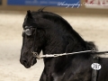 IMG_0626-Tsjalke-397
