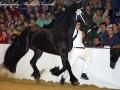 IMG_3071-Tsjipke-399