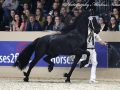 IMG_5035-Tymen-503