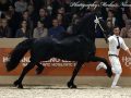 IMG_7376-Tymen-503