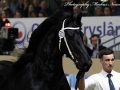 IMG_7390-Tymen-503