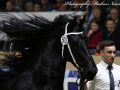 IMG_7391-Tymen-503
