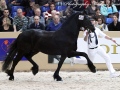 IMG_1059-Tymon-456