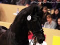 IMG_8053-Tymon-456