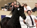 IMG_9225-Tymon-456