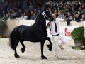 IMG_7596-Ulbe-506