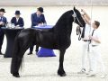 IMG_9499-Ulbe-506