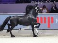 IMG_9504-Ulbe-506