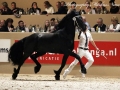 IMG_2701-Ulbran502