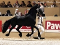 IMG_2704-Ulbran502