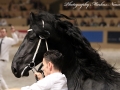 IMG_2740-Ulbran502