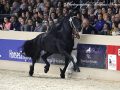 IMG_4960-Ulbran-502