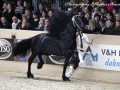 IMG_4975-Ulbran-502