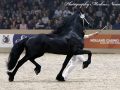 IMG_7263-Ulbran-502