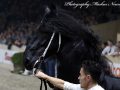 IMG_7271-Ulbran-502