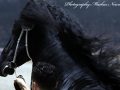 IMG_7272-Ulbran-502