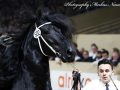IMG_7297-Ulbran-502