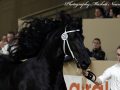 IMG_7326-Ulbran-502