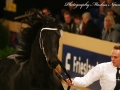 IMG_4717-Uwe-458