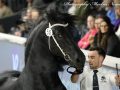 IMG_9572-Waander-512