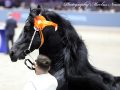 IMG_9775-Waander-512