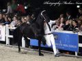 IMG_5688-Wardy-509