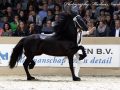 IMG_7863-Wardy-509