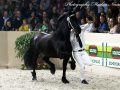 IMG_7917-Wardy-509