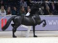 IMG_9529-Wardy-509