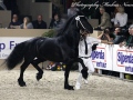 IMG_5831-Wibout-511