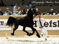 IMG_6181-Wibout-511