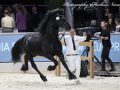 IMG_9541-Wibout-511