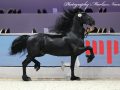 IMG_9549-Wibout-511