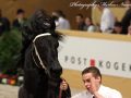 IMG_9568-Wierd-409
