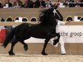 IMG_9723-Wierd-409