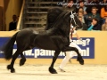 IMG_6478-Wikke-404