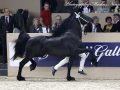 IMG_5582-Willem-508