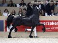 IMG_5592-Willem-508