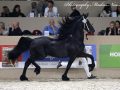 IMG_5605-Willem-508